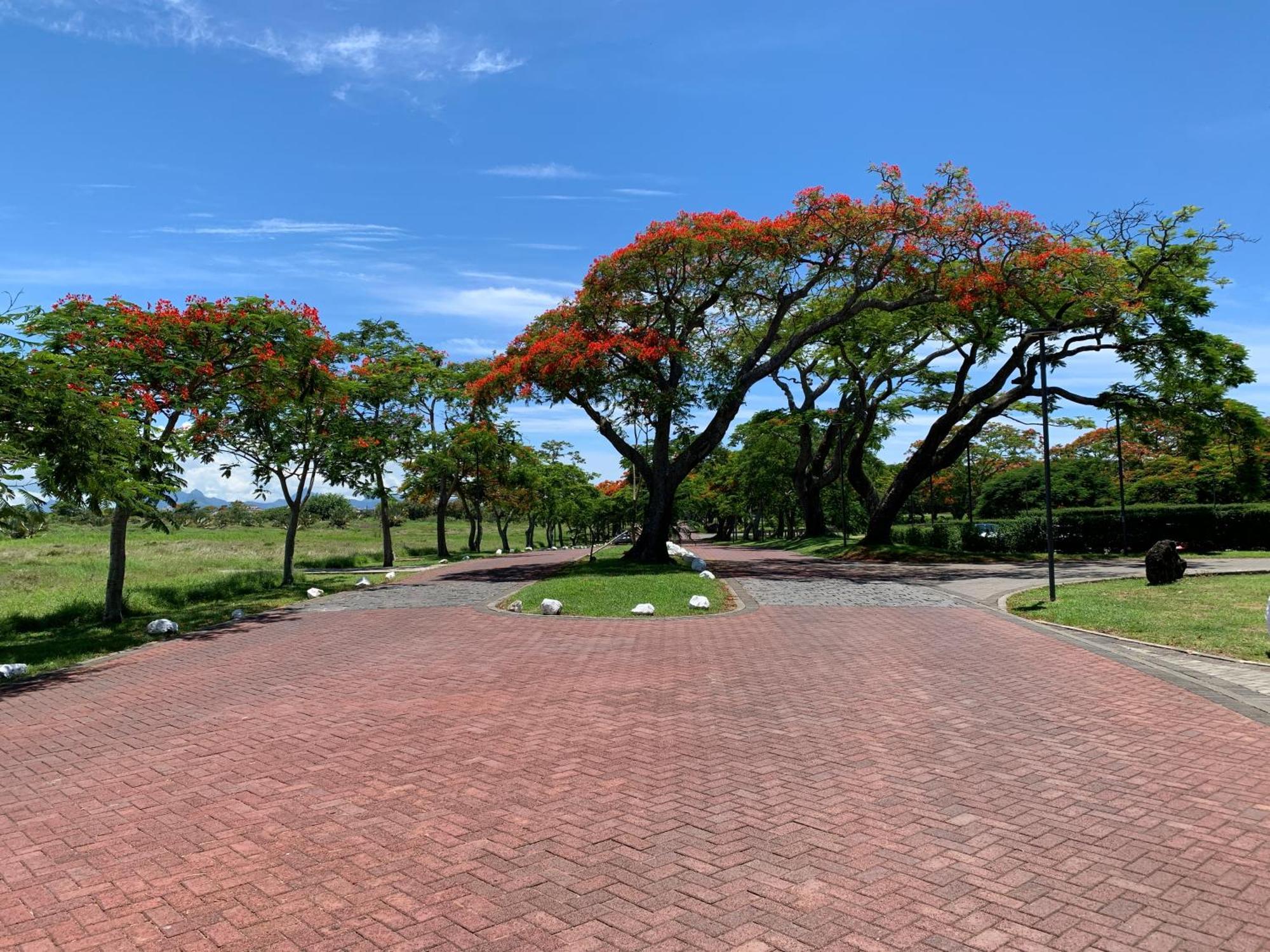 Palm Creek Villa Mont-Choisy Exterior foto